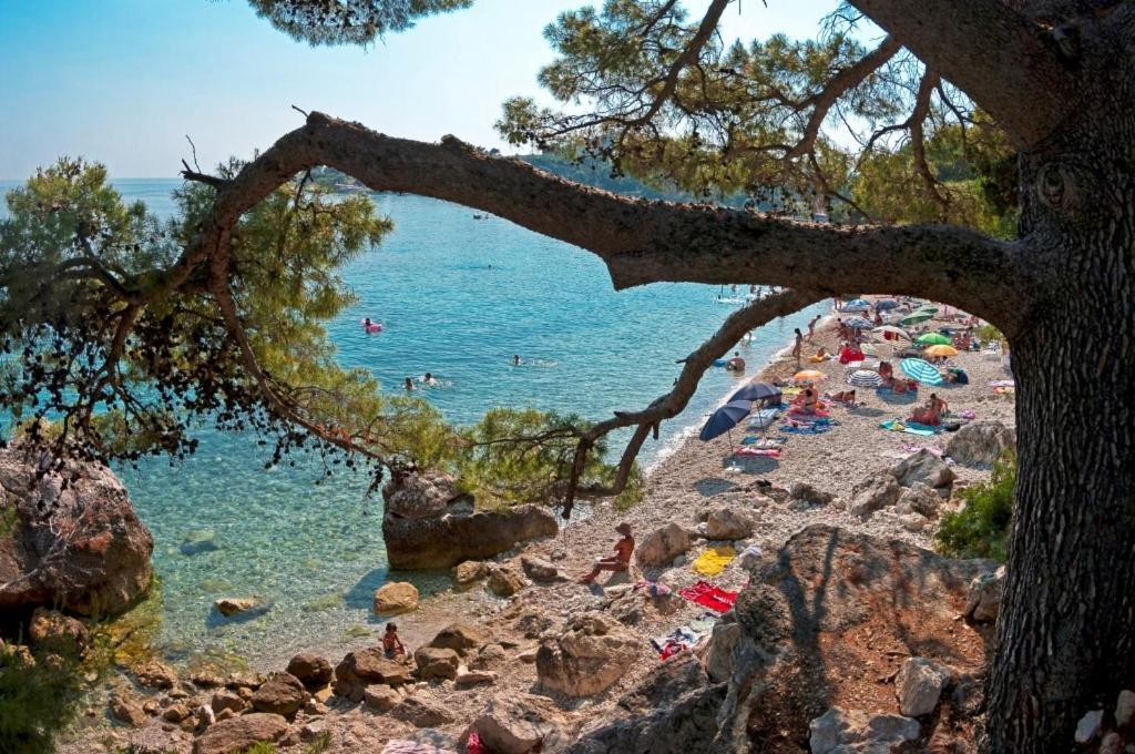 Aurora Seaview Apartment Mlini Dış mekan fotoğraf